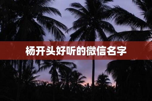 杨开头好听的微信名字