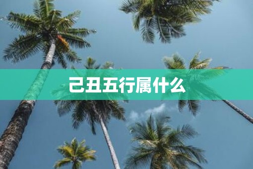 己丑五行属什么