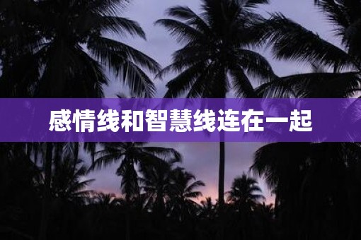 感情线和智慧线连在一起