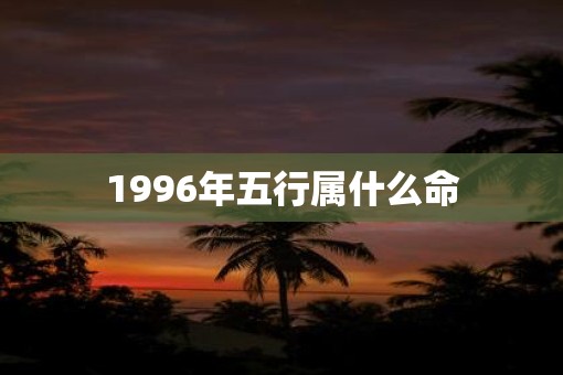 1996年五行属什么命