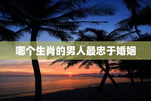 哪个生肖的男人最忠于婚姻