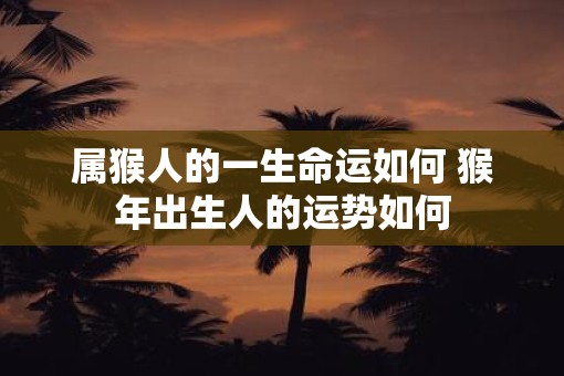 属猴人的一生命运如何 猴年出生人的运势如何