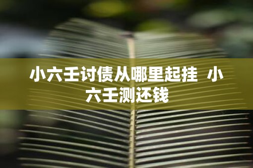 小六壬讨债从哪里起挂  小六壬测还钱