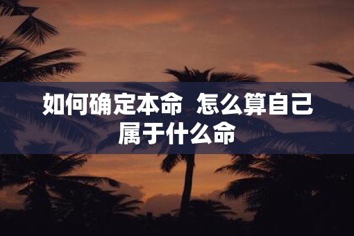 如何确定本命  怎么算自己属于什么命