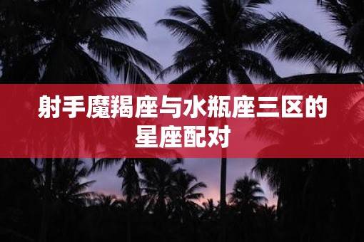 射手魔羯座与水瓶座三区的星座配对