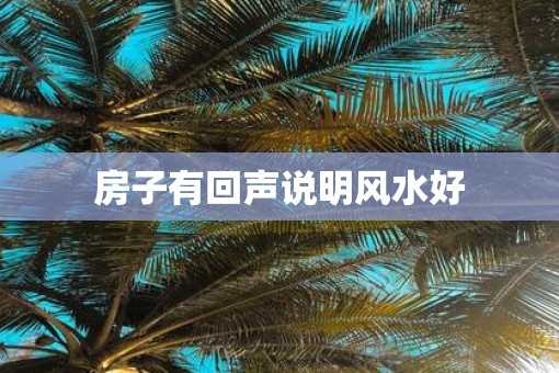 房子有回声说明风水好