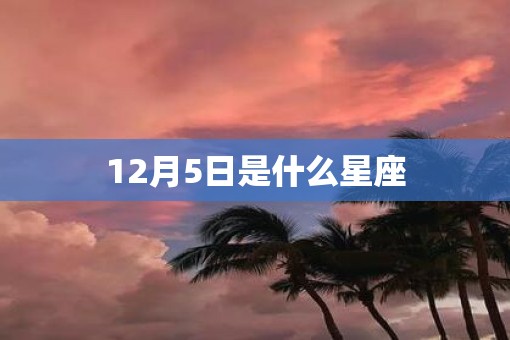 12月5日是什么星座