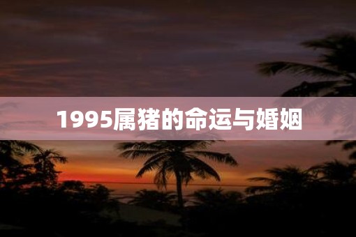 1995属猪的命运与婚姻