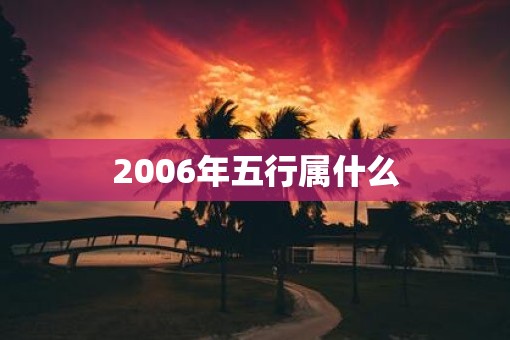 2006年五行属什么