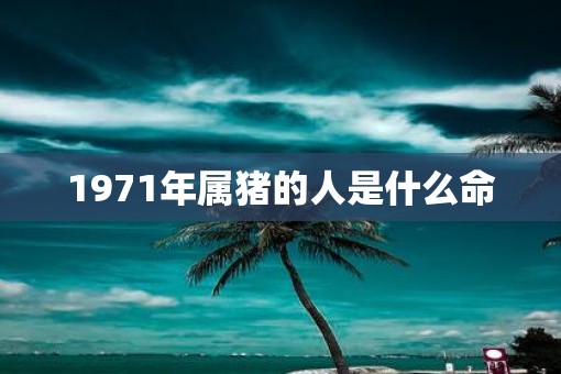 1971年属猪的人是什么命