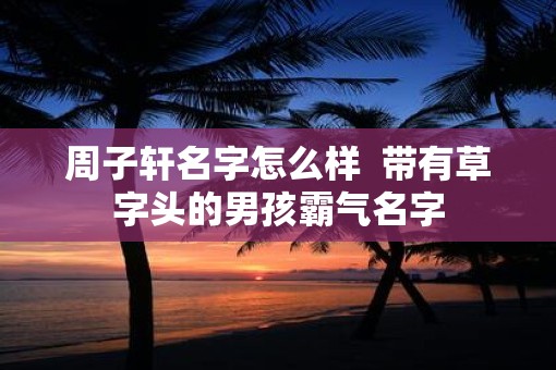 周子轩名字怎么样  带有草字头的男孩霸气名字