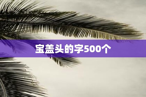 宝盖头的字500个