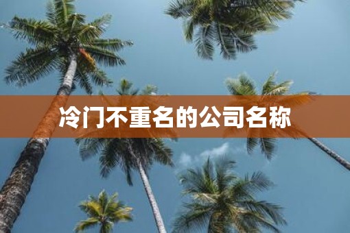 冷门不重名的公司名称