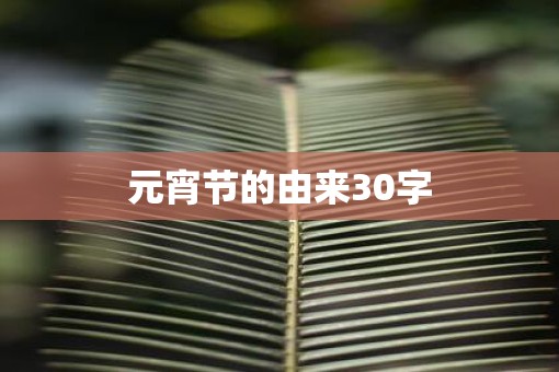 元宵节的由来30字