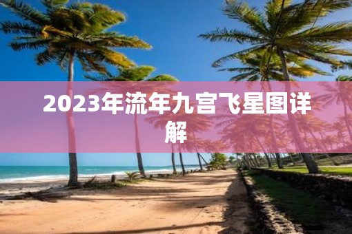 2023年流年九宫飞星图详解