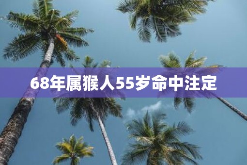 68年属猴人55岁命中注定