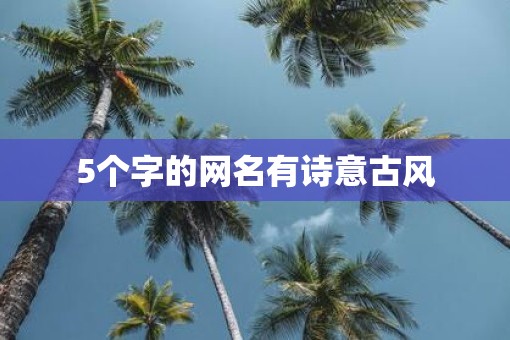 5个字的网名有诗意古风