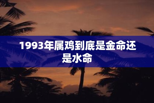 1993年属鸡到底是金命还是水命