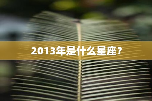 2013年是什么星座？