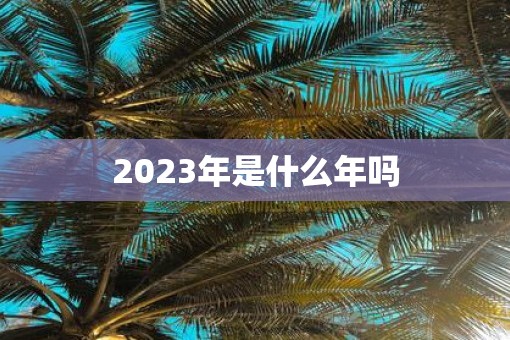 2023年是什么年吗