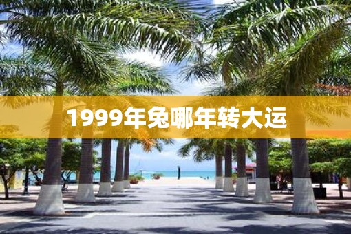 1999年兔哪年转大运