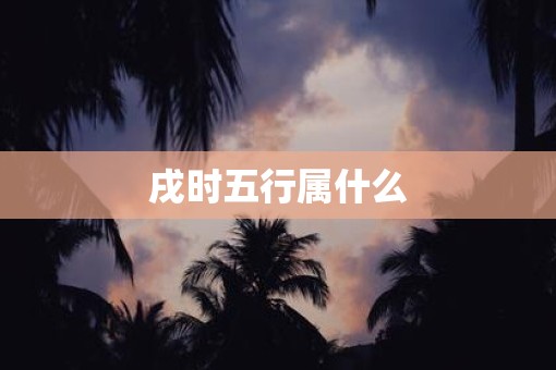 戌时五行属什么