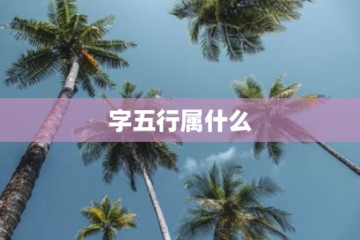 字五行属什么