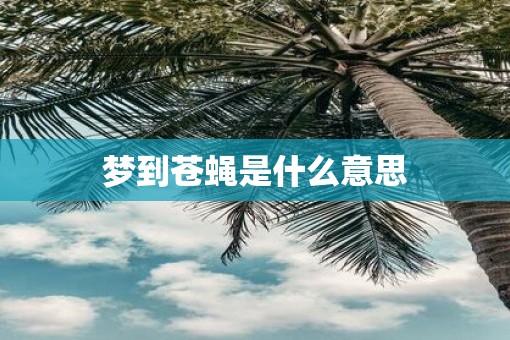 梦到苍蝇是什么意思