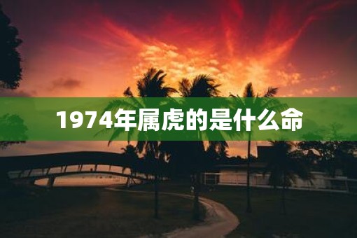 1974年属虎的是什么命