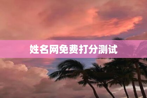 姓名网免费打分测试