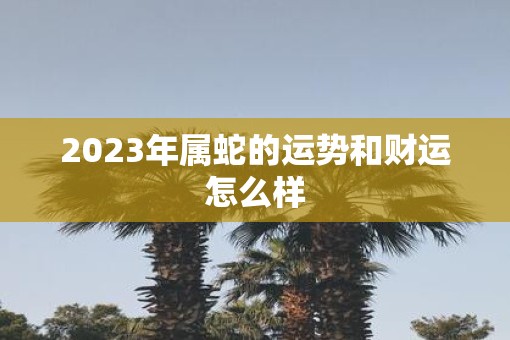 2023年属蛇的运势和财运怎么样