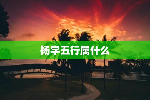 扬字五行属什么