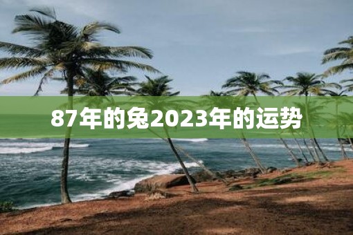 87年的兔2023年的运势