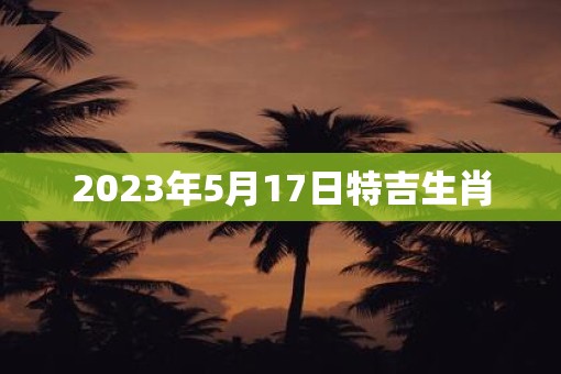 2023年5月17日特吉生肖