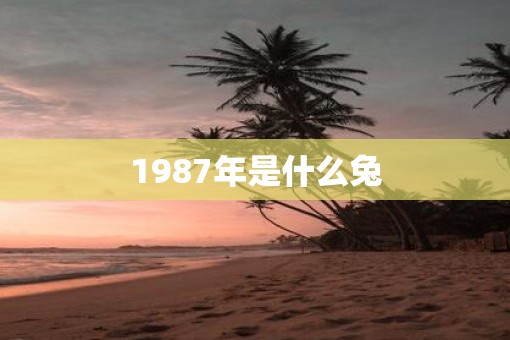 1987年是什么兔