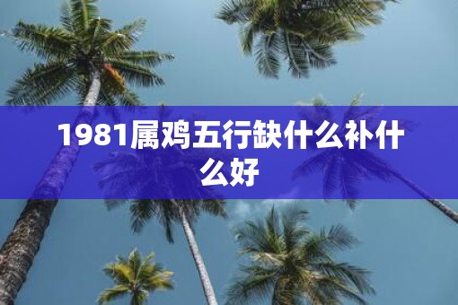 1981属鸡五行缺什么补什么好