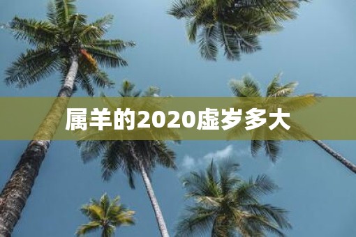 属羊的2020虚岁多大