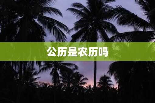 公历是农历吗