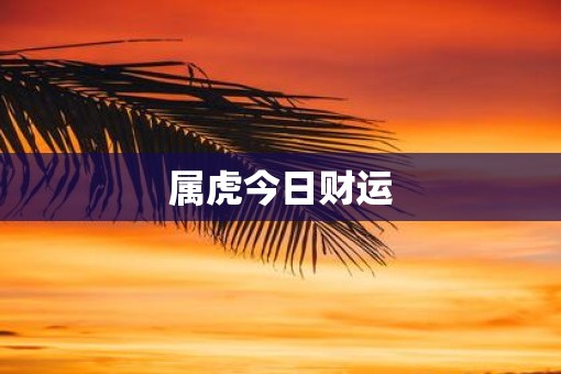 属虎今日财运