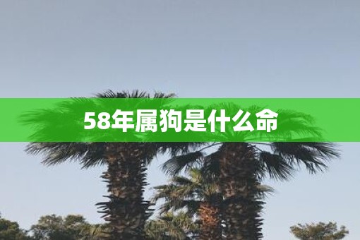 58年属狗是什么命