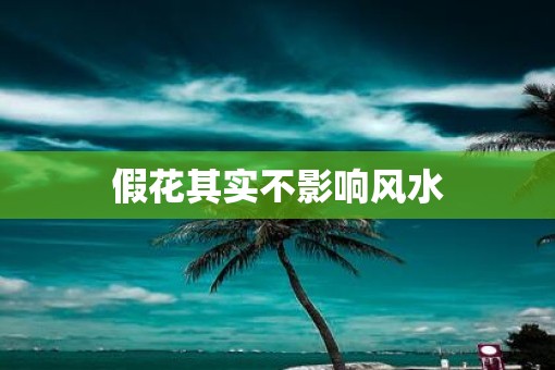 假花其实不影响风水