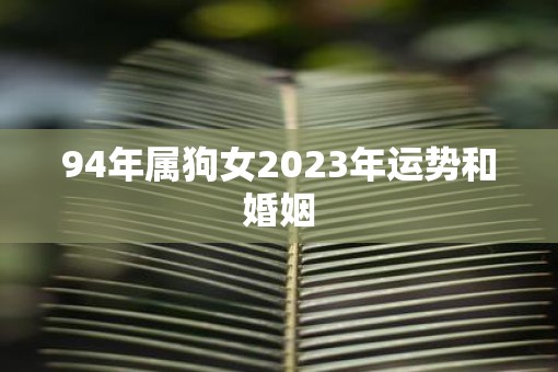 94年属狗女2023年运势和婚姻