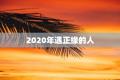 2020年遇正缘的人