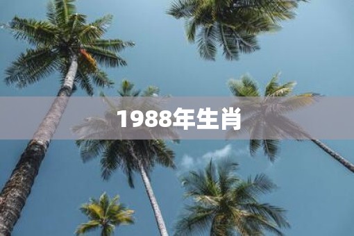 1988年生肖