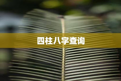 四柱八字查询