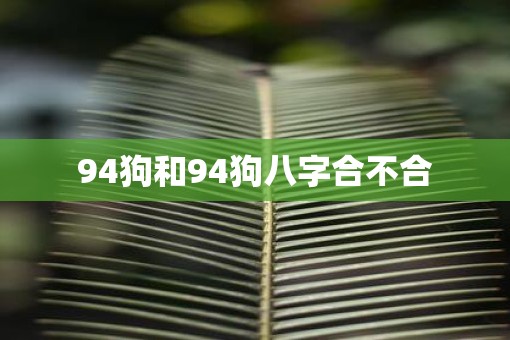 94狗和94狗八字合不合