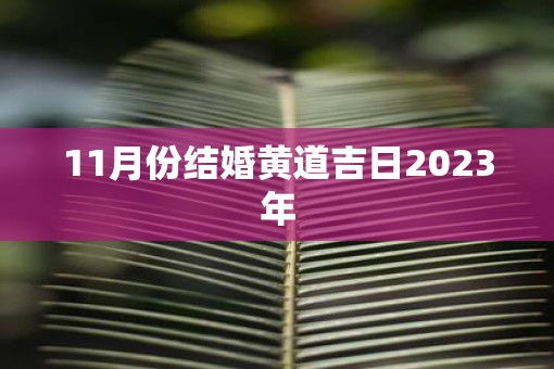 11月份结婚黄道吉日2023年