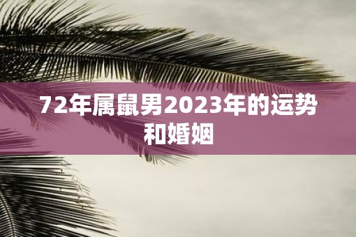 72年属鼠男2023年的运势和婚姻