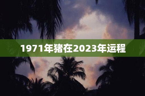 1971年猪在2023年运程