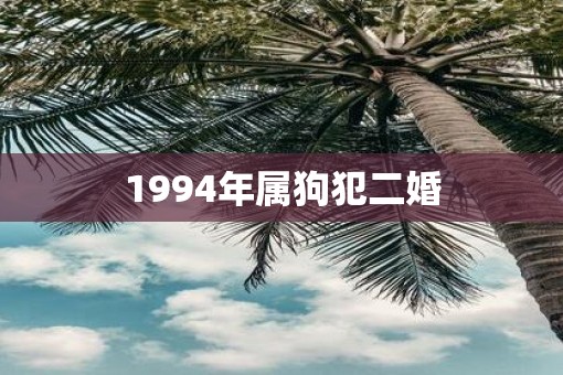 1994年属狗犯二婚